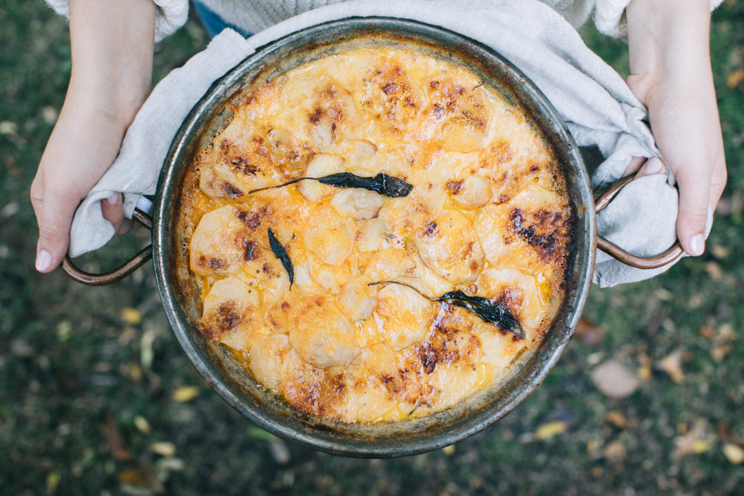 Creamy Squash, Potato + Cheddar Scalloped Potatoes being held outside with a white cloth and hands